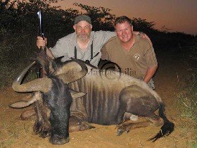 Blue wildebeest, foto © Mattias Lilja